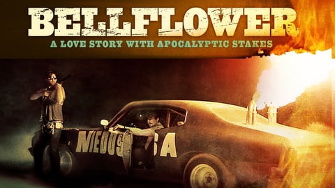 Bellflower cover image