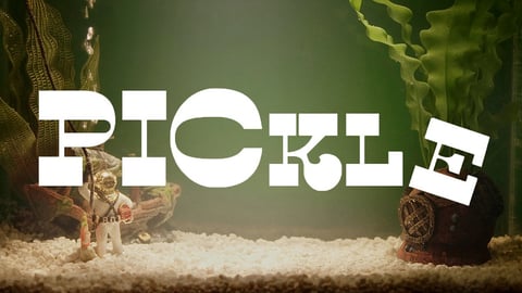 Pickle cover image