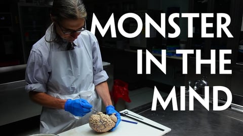 Monster in the Mind cover image
