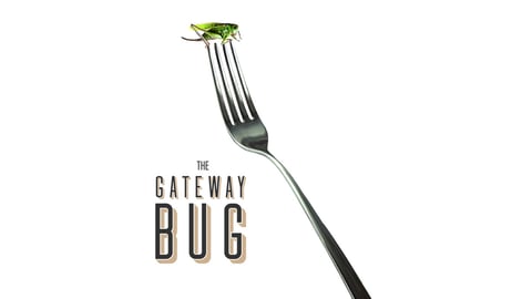 The Gateway Bug cover image