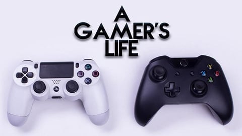 A Gamer's Life cover image