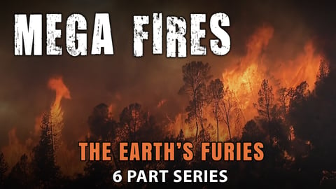 Mega Fires cover image