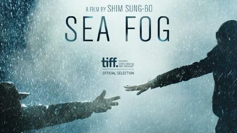 Sea Fog cover image