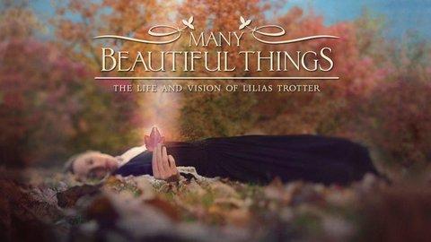 Many Beautiful Things cover image