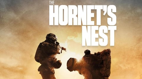 The Hornet's Nest cover image
