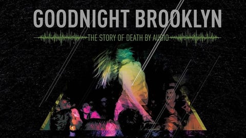 Goodnight Brooklyn cover image