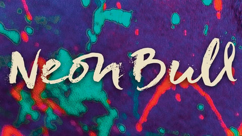 Neon Bull cover image
