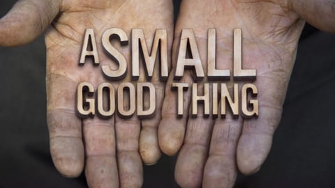 A Small Good Thing cover image