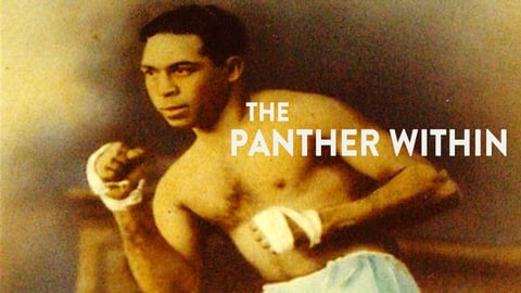The Panther Within cover image