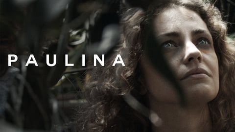 Paulina cover image