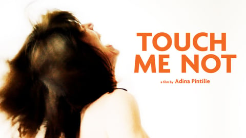 Touch Me Not cover image