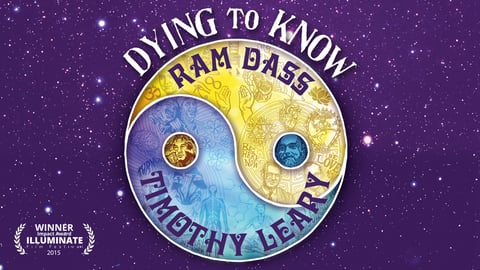 Dying to Know cover image