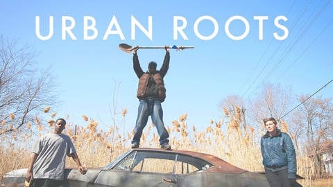 Urban Roots cover image