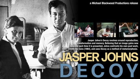 Jasper Johns: Decoy cover image
