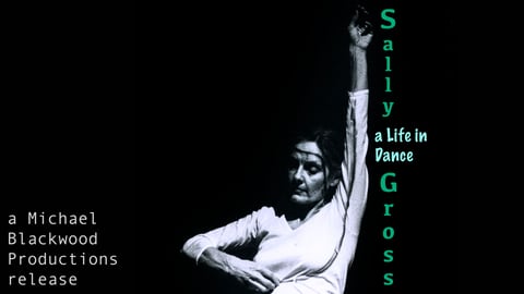 Sally Gross cover image