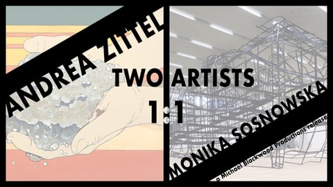 Two Artists: Andrea Zittel and Monika Sosnowska 1:1 cover image