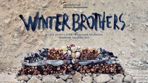 Winter Brothers cover image