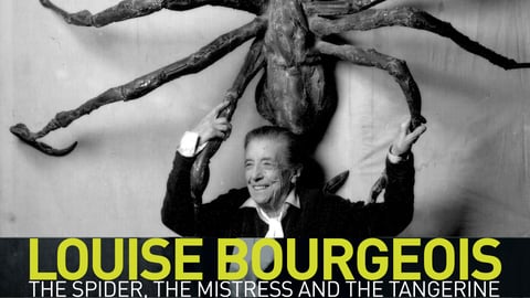 Louise Bourgeois: The Spider, The Mistress and the Tangerine cover image