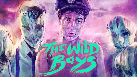 The Wild Boys cover image