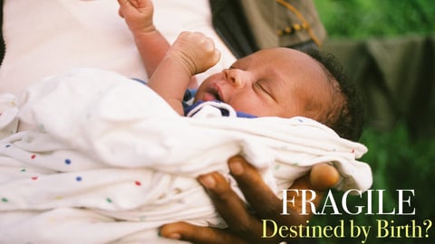 Fragile: Destined By Birth? cover image