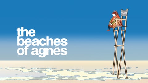 The Beaches of Agnes cover image