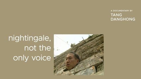 Nightingale, Not the Only Voice cover image