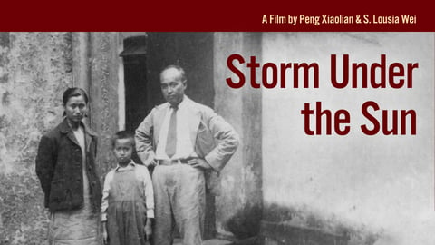 Storm Under the Sun cover image