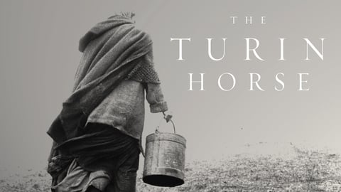 The Turin Horse cover image