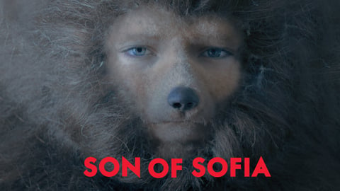 Son of Sofia cover image