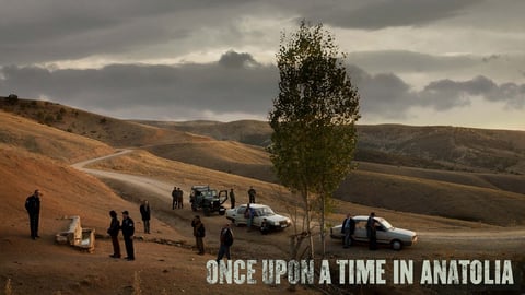 Once Upon A Time In Anatolia cover image
