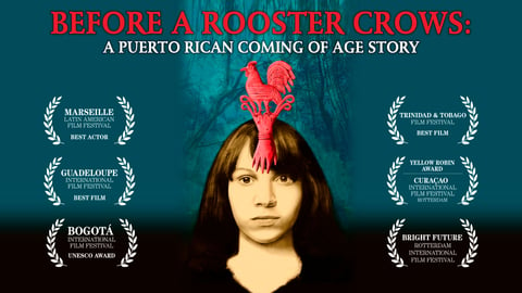 Before a Rooster Crows cover image