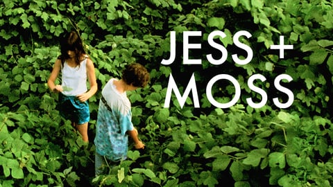 Jess + Moss cover image