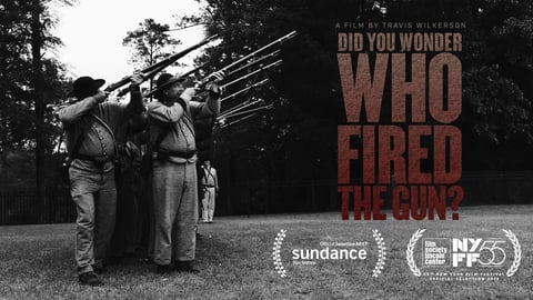Did You Wonder Who Fired the Gun? cover image