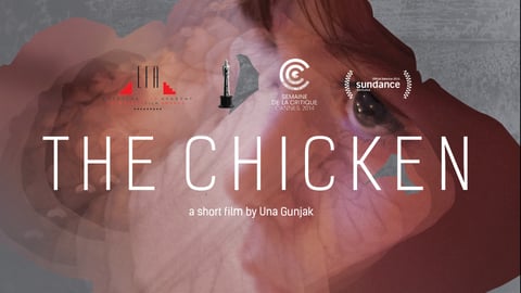 The Chicken cover image