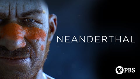 Neanderthal cover image