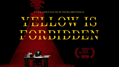 Yellow is Forbidden cover image