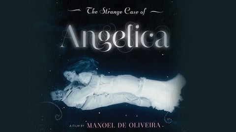 The Strange Case of Angelica cover image