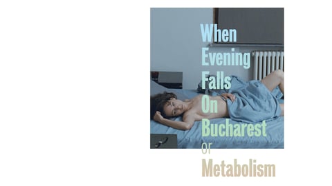 When Evening Falls on Bucharest or Metabolism cover image