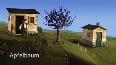 Apfelbaum (Apple tree) cover image