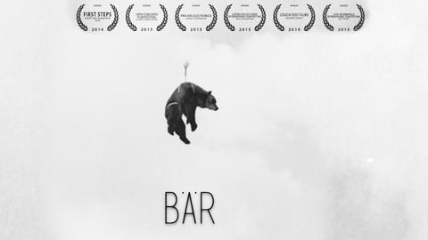 Bär (Bear) cover image