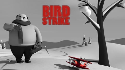 Birdstrike cover image