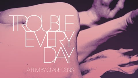 Trouble Every Day cover image
