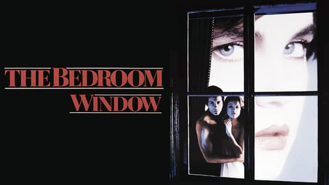 The Bedroom Window