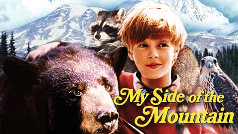 My Side of the Mountain cover image