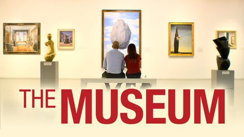 The Museum cover image