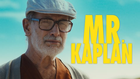 Mr. Kaplan cover image