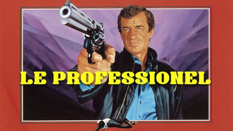 The Professional cover image