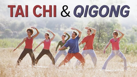 Essentials of Tai Chi and Qigong cover image