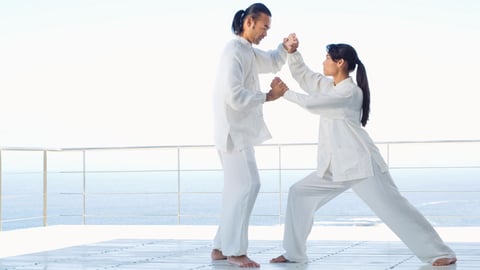 Essentials of Tai Chi and Qigong. Episode 9, The Second Pillar - Push Hands for Two cover image