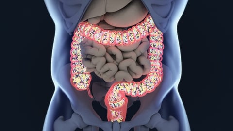 Food, Science, and the Human Body. Episode 27, The Gut Microbiome cover image
